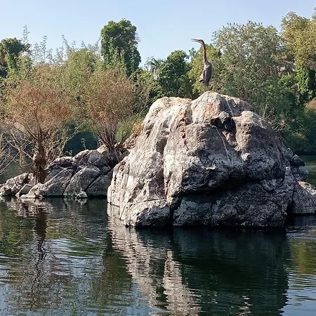 Houseboat Hotel And Nile Cruises Zainoba Aswan Exterior photo